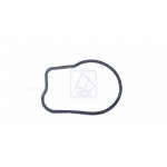 Oring pompy wody Honda BF40 BF50  91356-ZV5-000