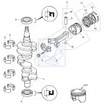 Simering wałka napędowego Mercury F25  898101123